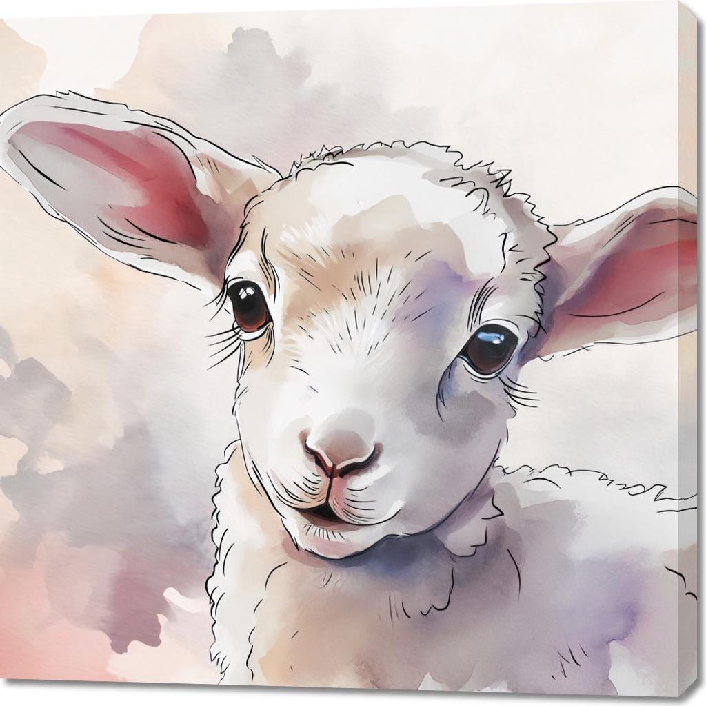 Bild 100x100cm Kleine Schaf