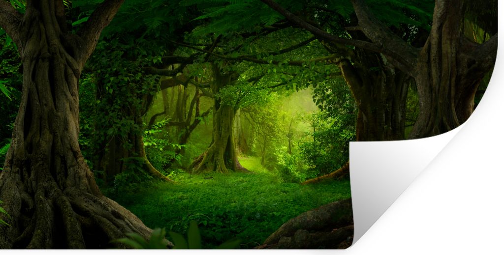 MuchoWow Wandtattoo Wandsticker Wandaufkleber Bäume - Wald - Grün - Landschaft - Natur 40x20 cm Selbstklebend und Repositionierbar - Aufkleber