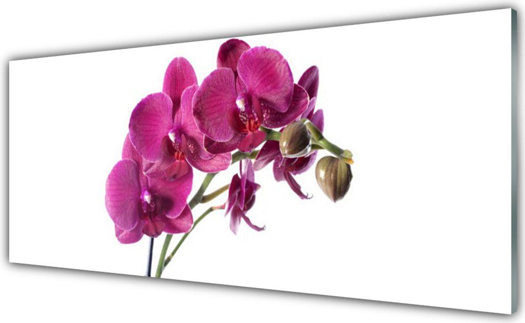 Acrylglasbilder 125x50 Wandbild Druck Blumen Pflanzen