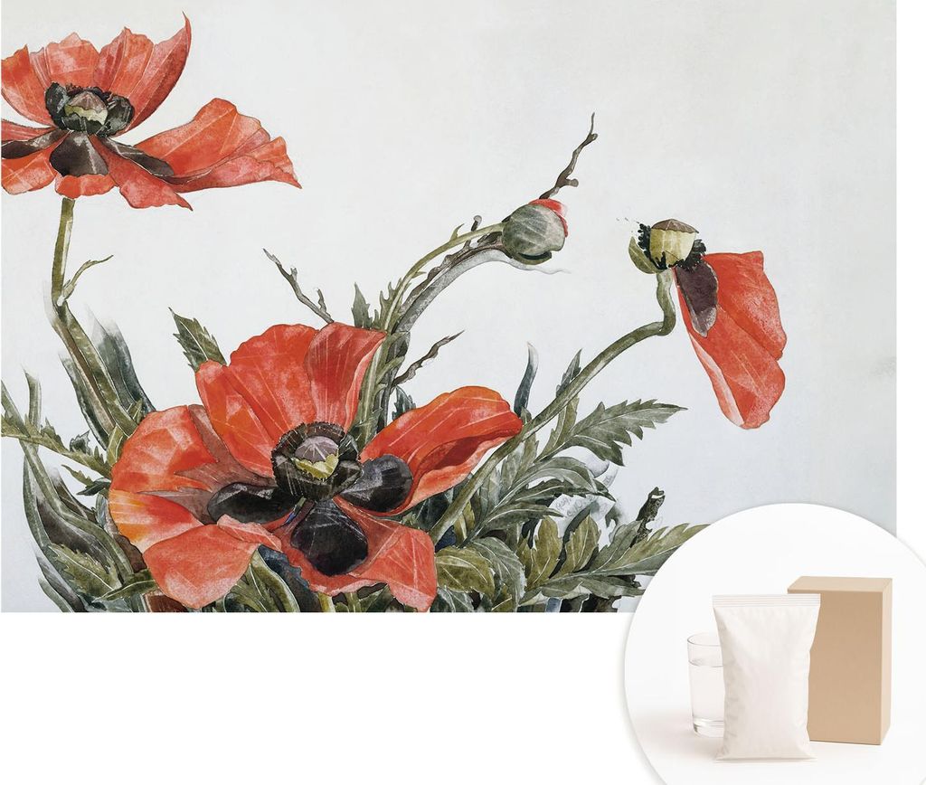Fototapete - Wandbilder für Wohnzimmer - 152x104 cm - Dekorative Wandfolie - Modernes Design für Wanddekoration - Tapeten für Innenräume - Rote...