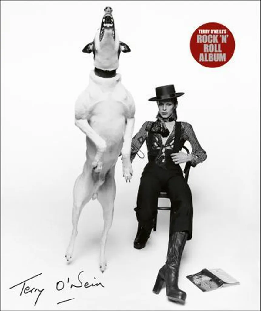 Cadeau Idéal Musique : Rock 'n' Roll Album Terry O'Neill Original