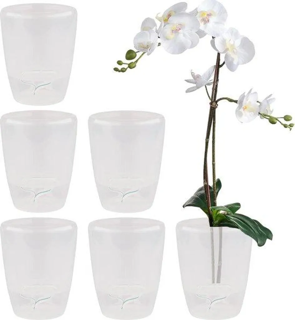 Pot orchidée 12 cm transparent idéal pour rempotage et soin automatique
