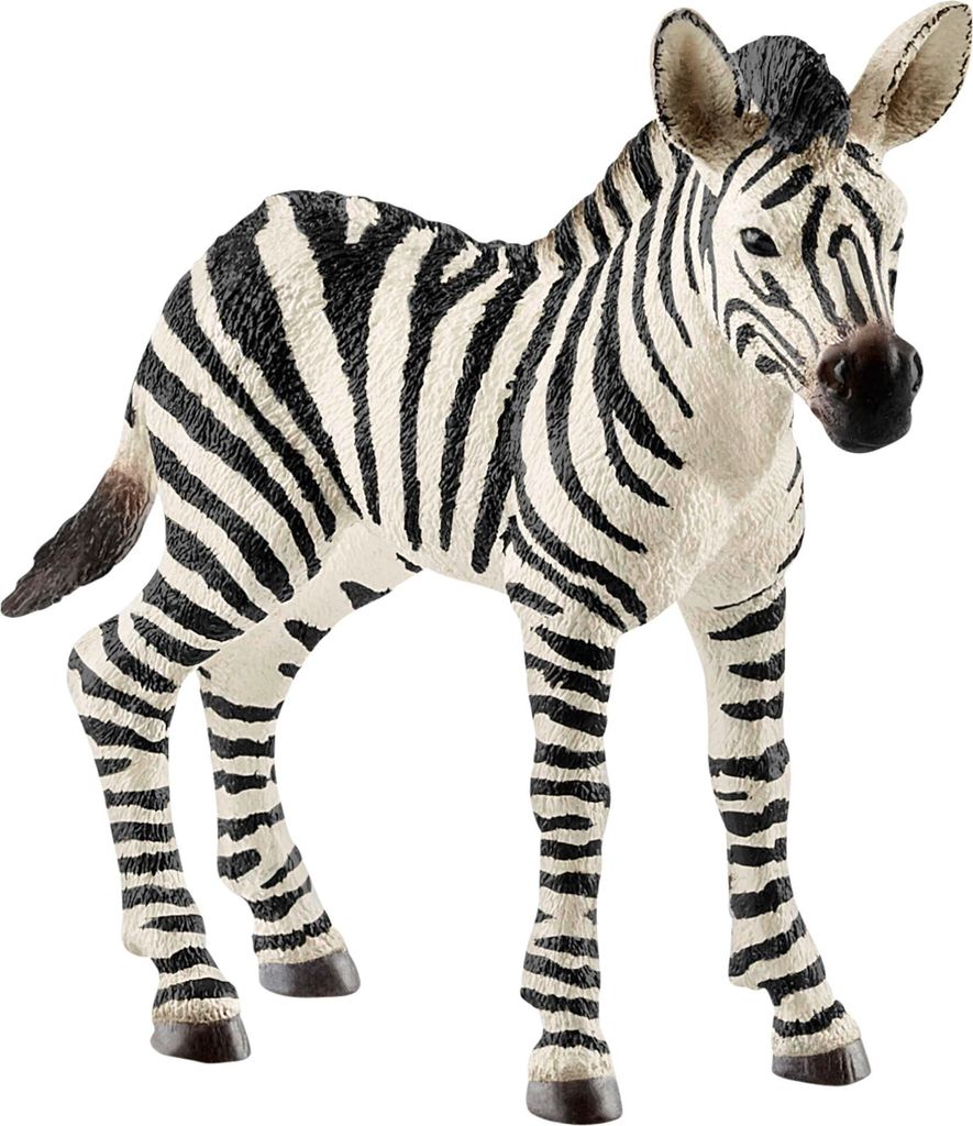 Schleich Poulain zèbre 14811 Image du produit 