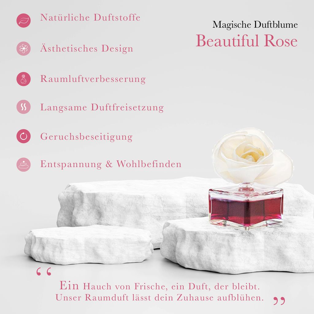 CLENTAIRE Duftblumen 3 x 75ml Beautiful Rose Kaufland.de