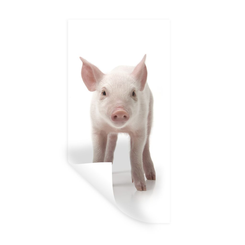 MuchoWow Wandtattoo Wandsticker Wandaufkleber Schwein - Tiere - Weiß 20x40 cm Selbstklebend und Repositionierbar - Selbstklebend - Fototapeten