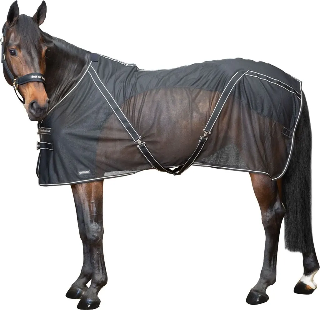 Couverture Back on Track Cooler Sienna - Séchage Thérapeutique Cheval