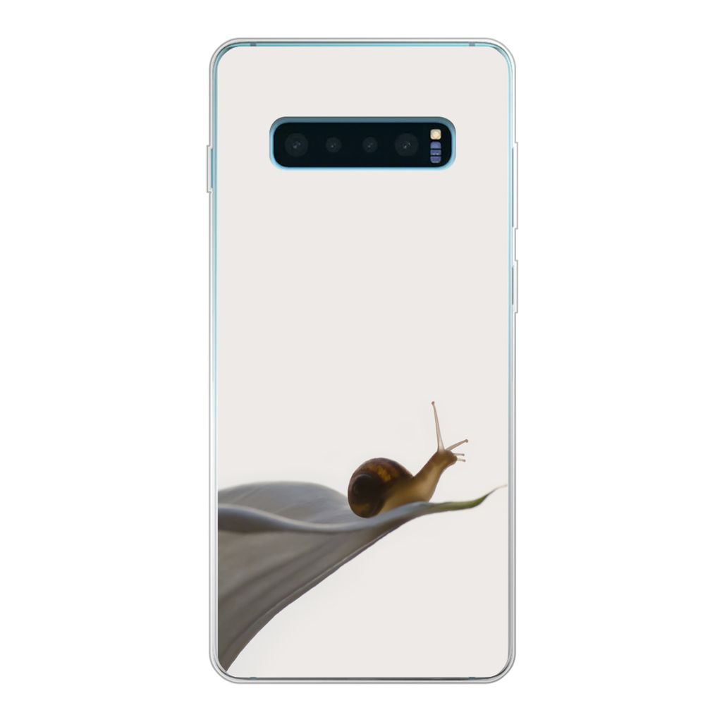 MuchoWow Handyhülle Schutzhülle Hülle für Samsung Galaxy S10 Plus Schnecke - Lilie - Grau Silikon Softcase Handy Hülle - Schutzhülle