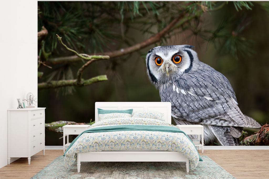 MuchoWow Fototapete für Wohnzimmer oder Schlafzimmer Wandtapete Vinyl Motivtapete Eule - Vogel - Äste - Natur - 295x220 cm - Wand Tapete