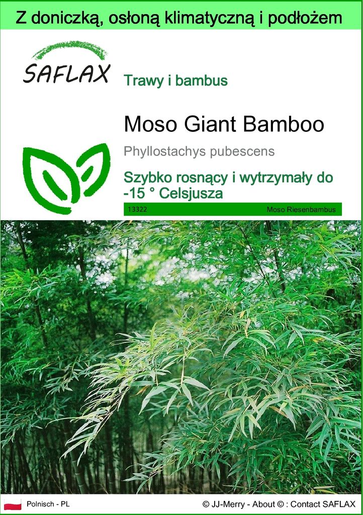 SAFLAX - Garden to go - Moso Giant Bamboo - 20 Nasiona - Z Zdjęcie produktu 