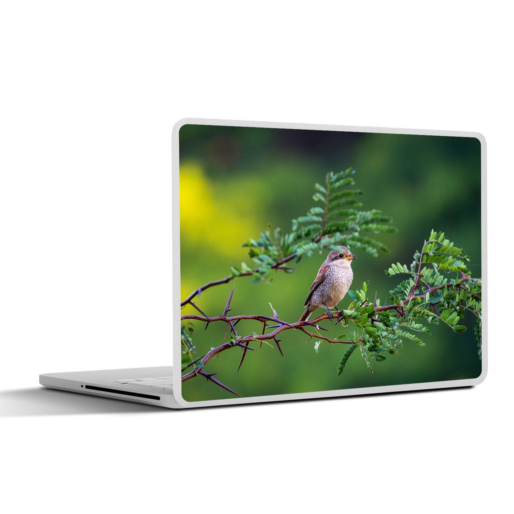 MuchoWow Laptop Aufkleber Sticker Cover Vogel - Baum - Wald 40x30 cm - Laptop Dekoration - Selbstklebend