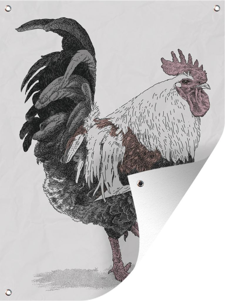 MuchoWow 60x80 cm Outdoor-Poster Gartendeko Sichtschutz Garten Poster für den Garten Hahn Illustration