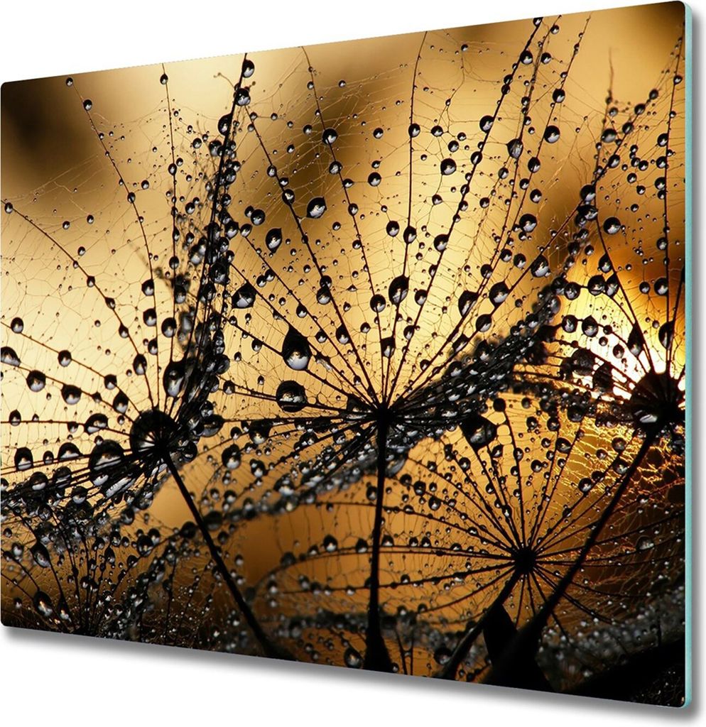 Glas Herdabdeckplatte 60x52 cm Spritzschutz Glasabdeckplatte Schneidebrett Löwenzahnsamen