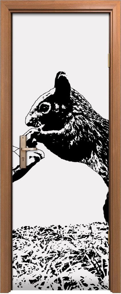Türposter 70x200 cm Türaufkleber Türtapete Türfolie Klebefolie Eichhörnchen isst Erdnüsse