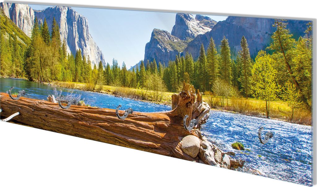 Wallario Flurgarderobe Wandgarderobe aus Glas, mit 5 Haken, Größe 80 x 30 cm, Motiv Baumstamm im Fluss zwischen Bergen und Wäldern