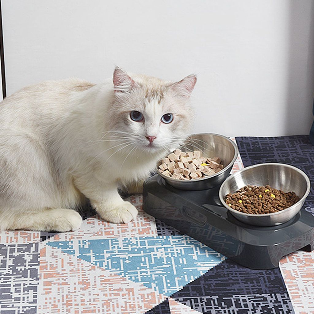 Freetoo Futternapf, Futternapf Hund Katze | Kaufland.de