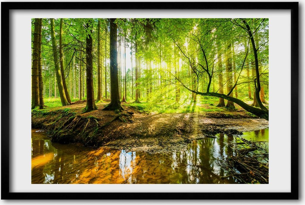 Bild 60x40 MDF-Rahmen, Wandkunst Der Teich im Wald