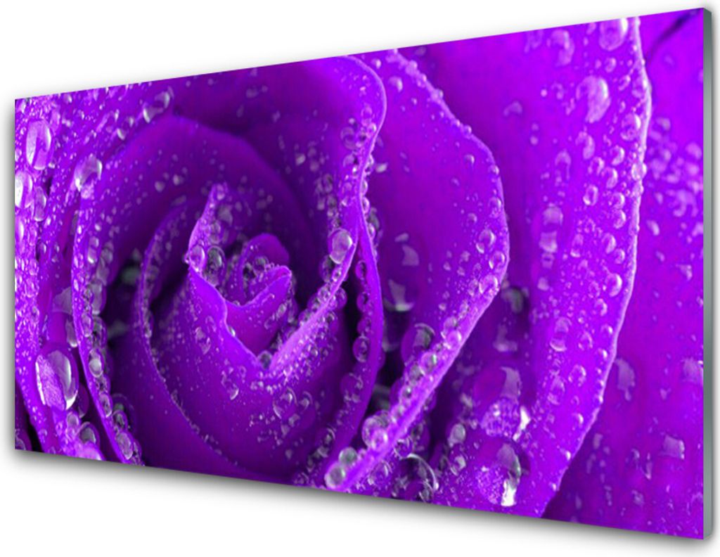 Acrylglasbilder 100x50 Wandbild Druck Rose Pflanzen