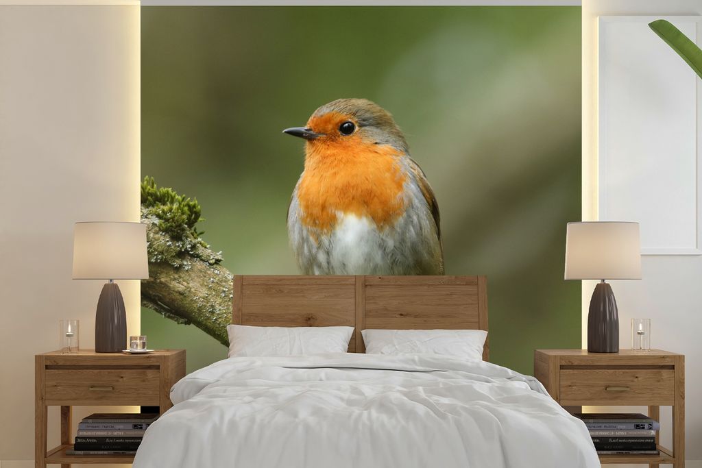 MuchoWow Fototapete für Wohnzimmer oder Schlafzimmer Wandtapete Vinyl Motivtapete Vogel - Rotkehlchen - Zweig - Pflanzen - 300x300 cm - Wanddeko...