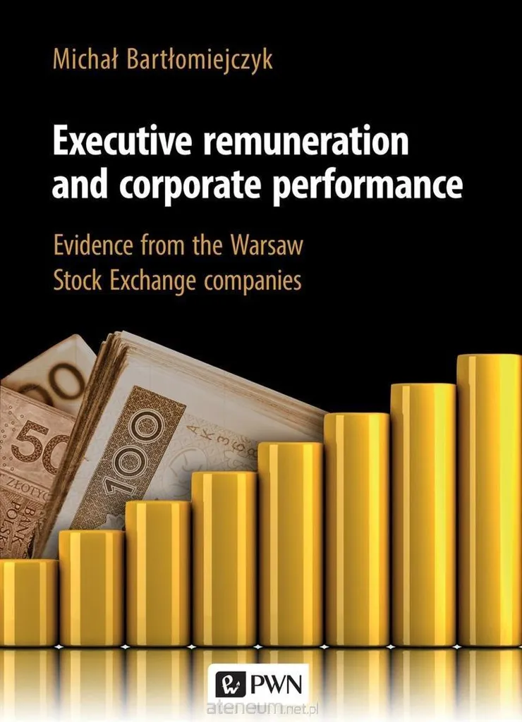 Livre Executive Remuneration and Corporate Performance : Guide Stratégique