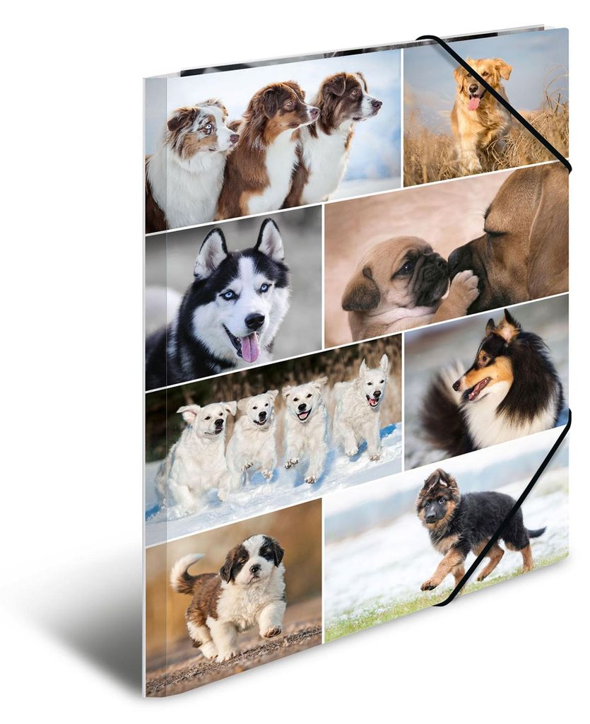Cartella angolare HERMA "Dogs", in cartone, DIN A3 Immagine del prodotto 