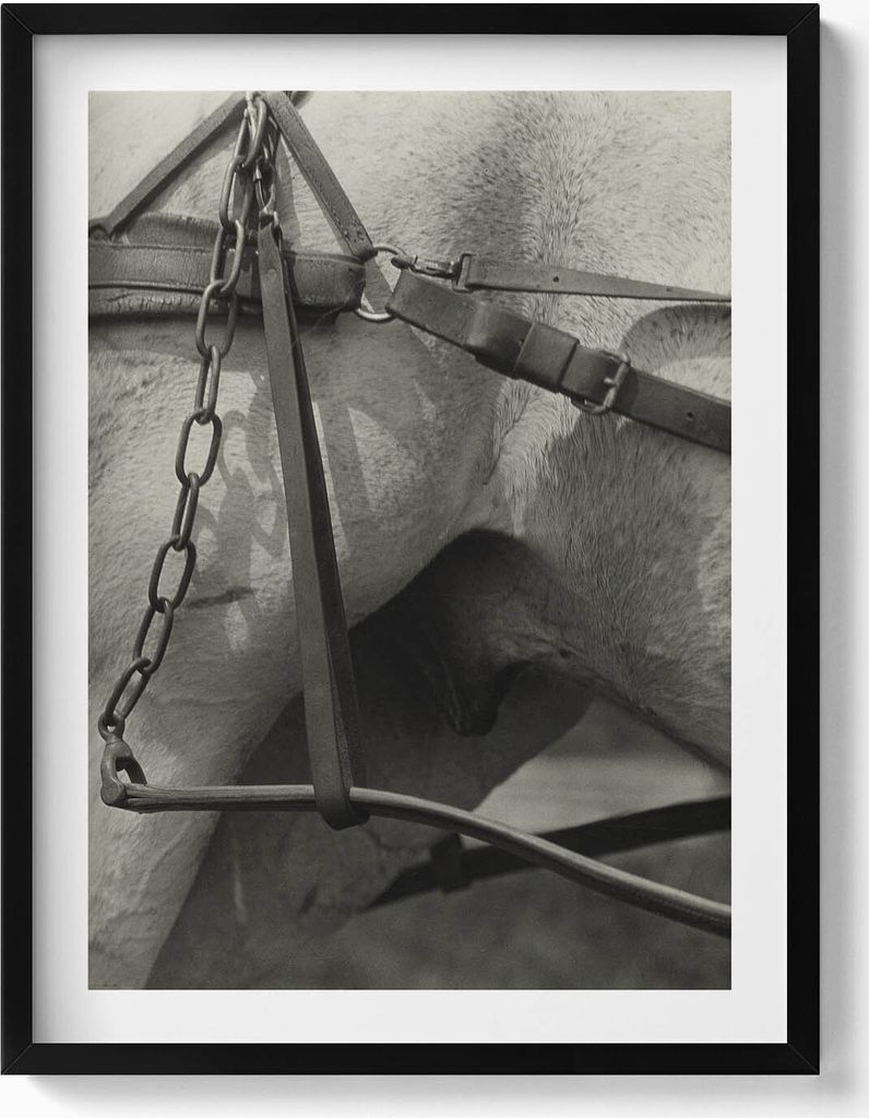 Nahaufnahme eines Pferdegeschirrs– Wandbild mit Rahmen – Gerahmtes Bild – Wanddekoration – 60x80 cm – Schwarz Rahmen