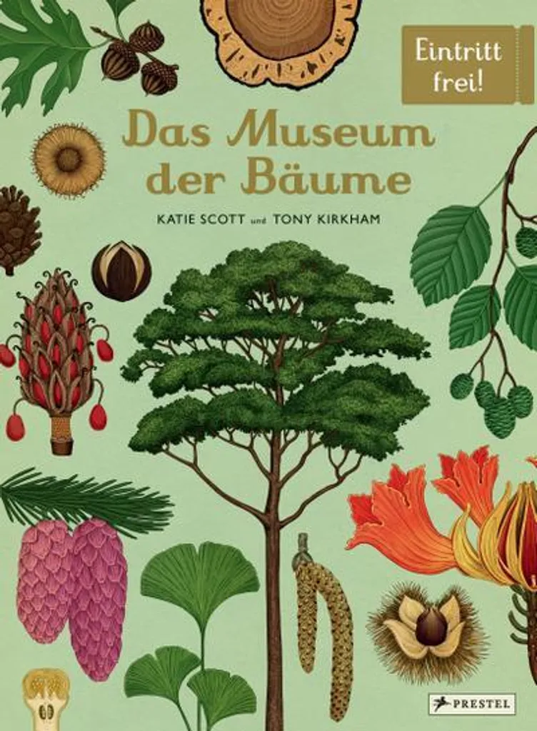 Das Museum der Bäume : L'Ouvrage Idéal pour Comprendre les Arbres Facilement