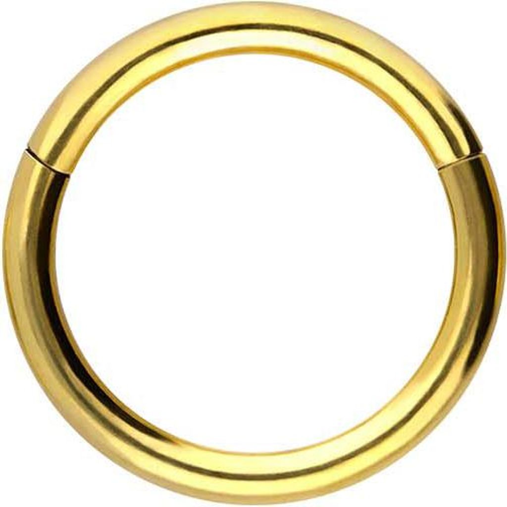 Ohrpiercing, Nasenpiercing, Septum Piercing Chirurgenstahl Segmentring Clicker Gold Innendurchmesser: 8mm + Stabstärke: 1,2mm