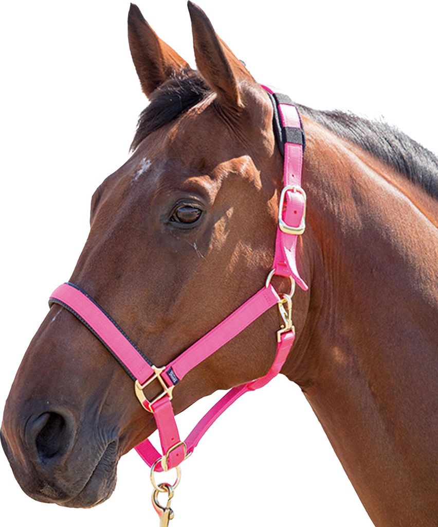 Shires Topaz Nylon Pferdehalfter ER239 (Full) (Pink)