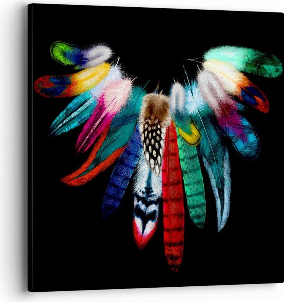 Bild auf Leinwand - Leinwandbild - Vogel Feder Farbe Produktbild 