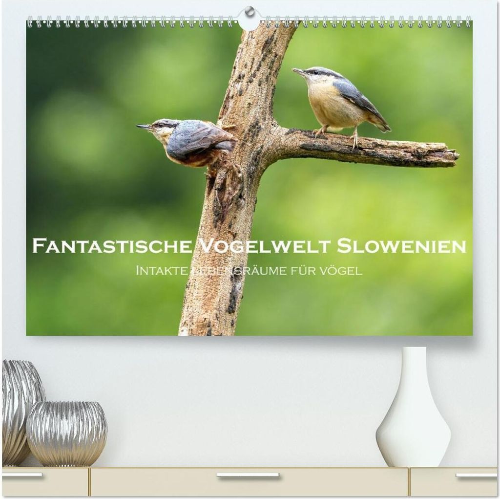 Fantastische Vogelwelt Slowenien (hochwertiger Premium Wandkalender 2026 DIN A2 quer), Kunstdruck in Hochglanz