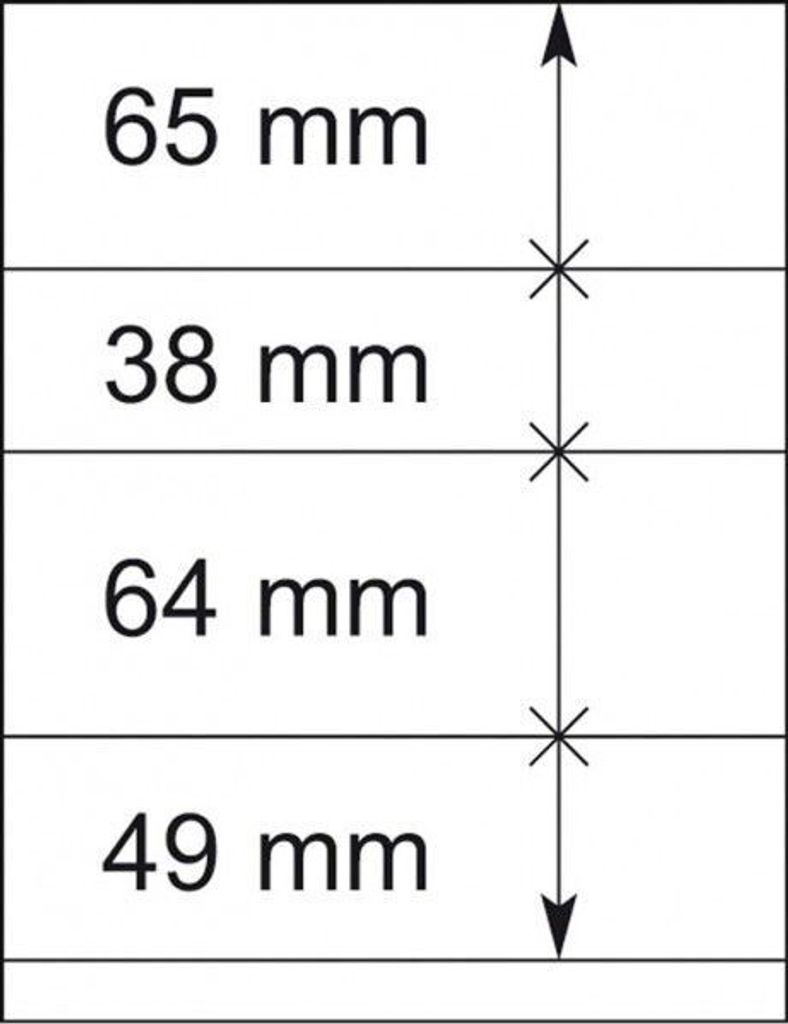 Lindner 802410P T-Blanko-Blätter - 10er-Packung