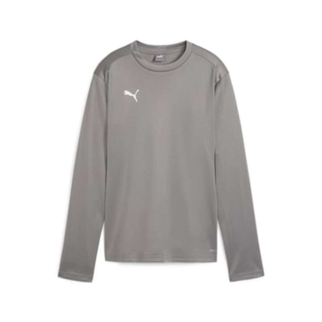 Puma Teamgoal Trainingssweat Damen - Grau
