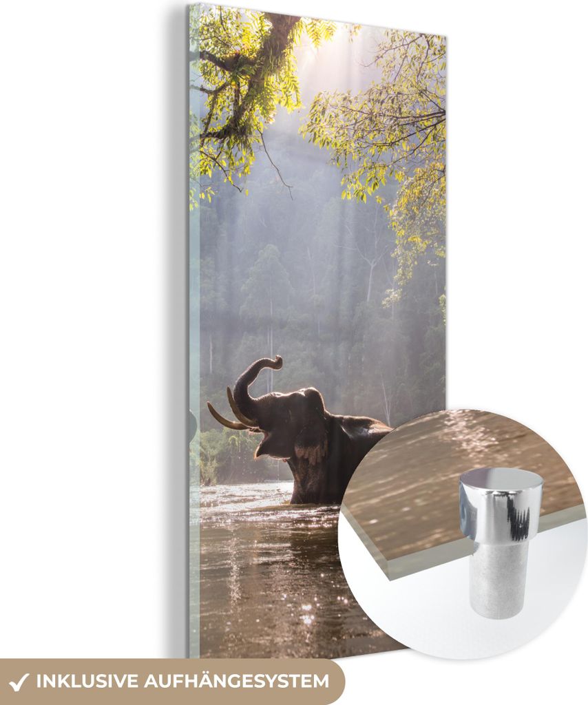 MuchoWow Glasbilder - Bilder auf Wandbild - Foto auf Glas Elefant - Wasser - Tiere - Bäume - Sonne 40x80 cm Wanddekoration aus Glas - Acrylglasbil...