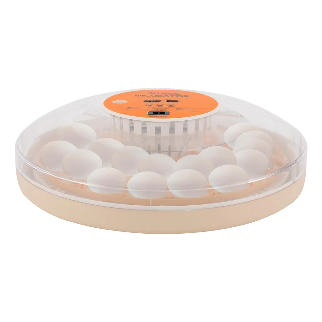 Incubateur 30 œufs : solution contre les échecs d'éclosion manuelle