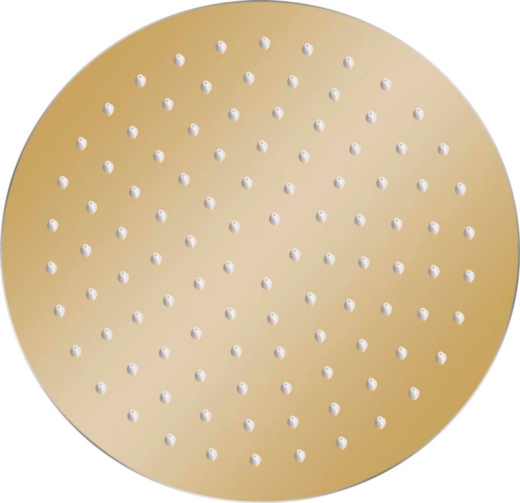 vidaXL Regenbrause Edelstahl 25 cm Rund Golden