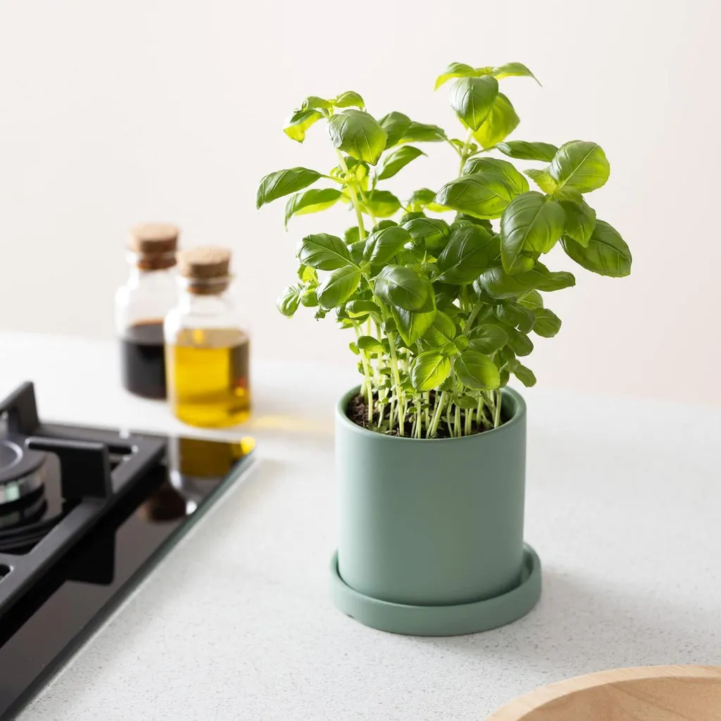 Pot de fleurs en céramique vert avec soucoupe - Set de 2 tailles - 11/17cm
