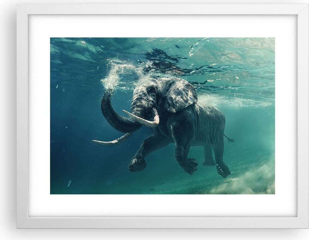 Gerahmtes Poster - Weißer Rahmen - Elefant Tier Wasser - 40x30 cm - Wand Bild - Wanddeko - Wandbilder - Kunstposter - Wandposter - Bilderrahmen - ...