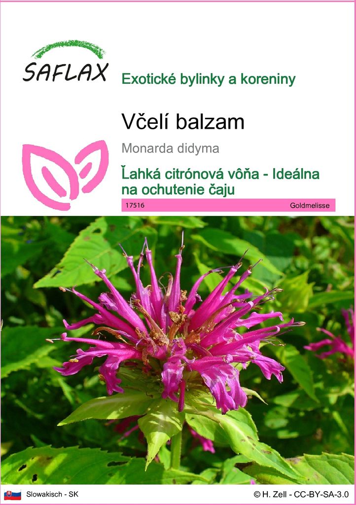 SAFLAX - včelí balzam - Monarda didyma - 20 Semená Obrázok produktu 