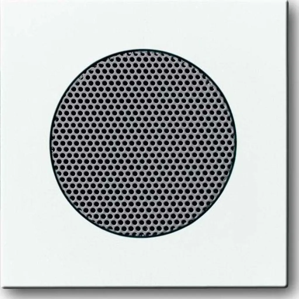 Plaque de finition AudioWorld Busch-Jaeger LS blanc pour système audio