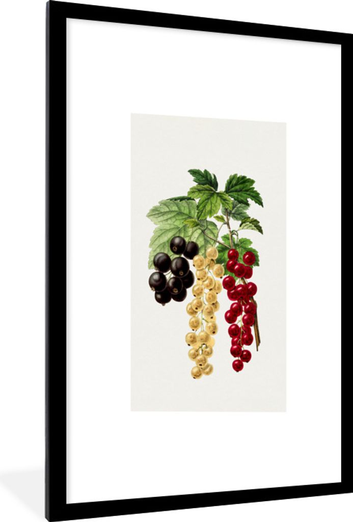 MuchoWow Gerahmtes Poster Beeren - Obst - Gesund 60x90 cm - Poster mit Schwarzem Bilderrahmen Wandposter Rahmen Foto Bilder - Dekoration - Wandpo...
