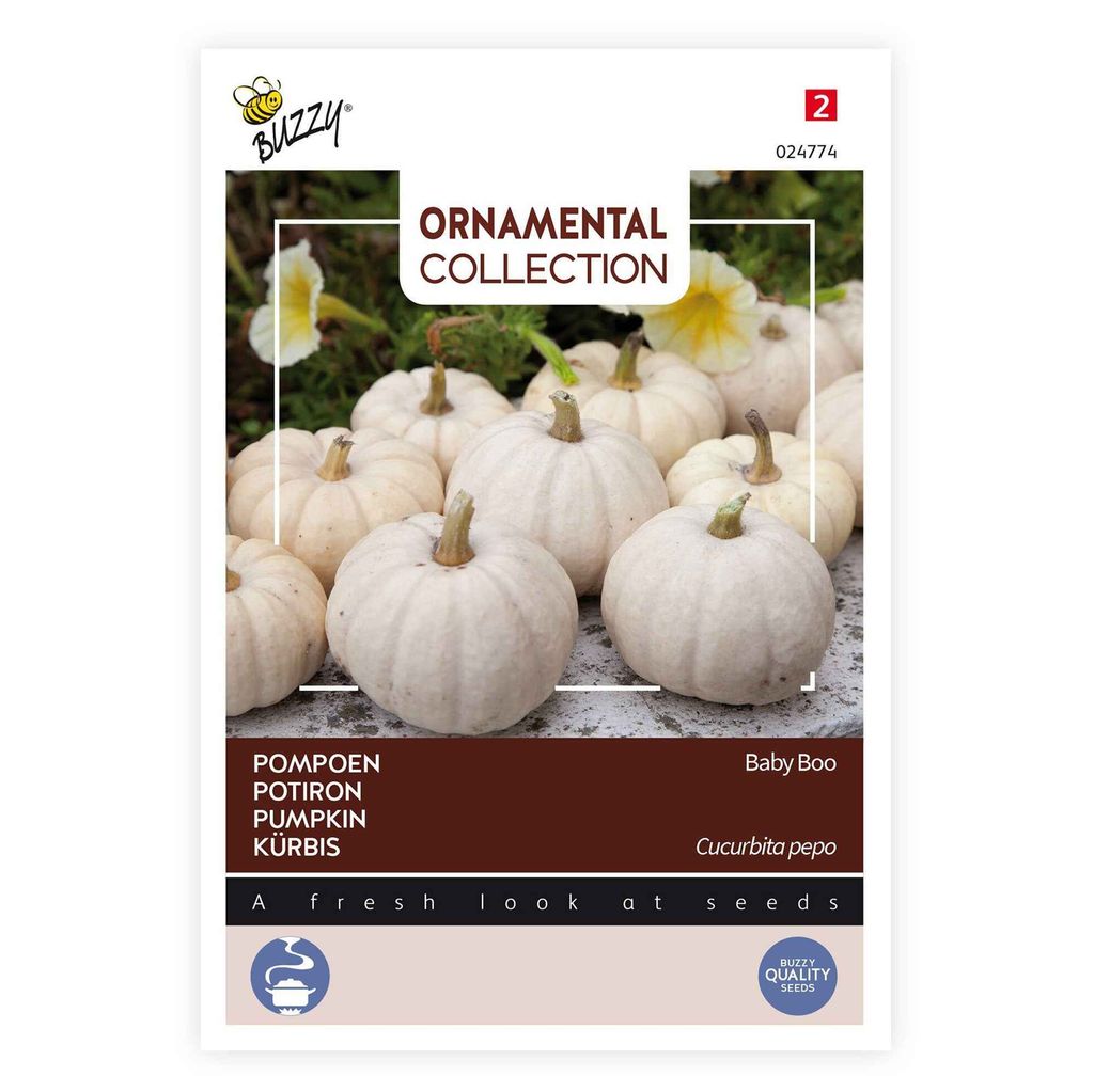 Semi di zucca ornamentale Buzzy Baby Boo - Circa 1 gr | Immagine del prodotto 
