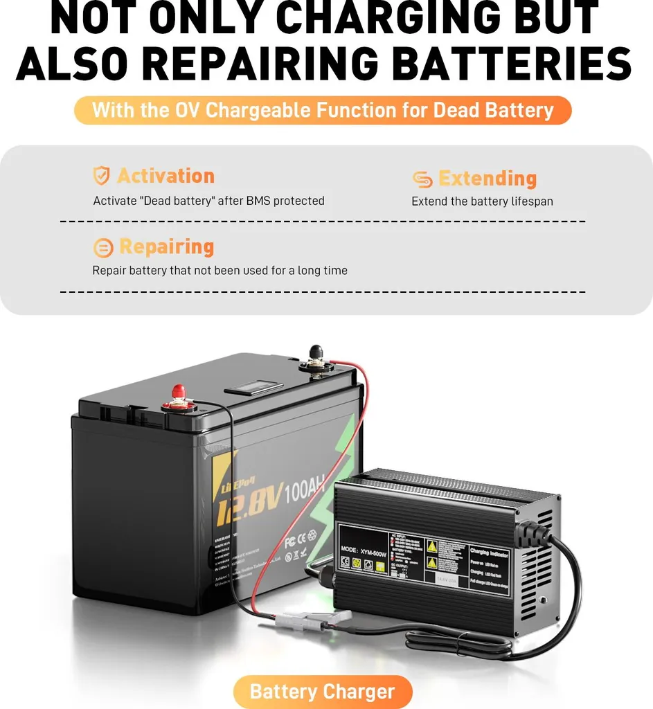 Chargeur de Batterie Activation 0V Haute Performance - Connectique Variable