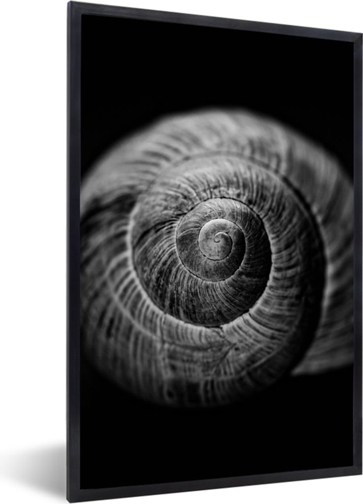 MuchoWow Gerahmtes Poster Schnecke - Tiere - Schwarz - Weiß - Schneckenhaus 20x30 cm - Poster mit Schwarzem Bilderrahmen Wandposter Rahmen Foto ...