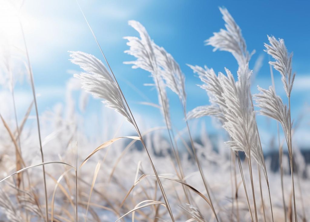 Plakat 35x25cm Rauschen zwischen dem Gras