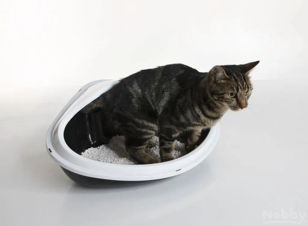 WC Angolare Savic Concha XL Professionale | Plastica 51cm