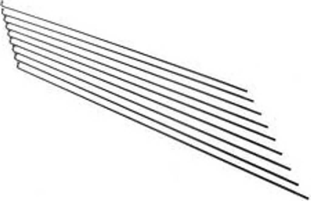 Raggio Alpina Camper 13-294mm Inox Argento Senza Nipplo per Bici