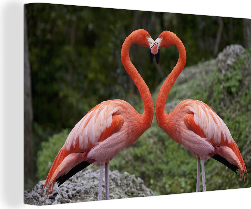 OneMillionCanvasses - Leinwandbilder - 140x90 cm, Zwei Flamingos bilden mit ihren Hälsen ein Herz, Wandbilder Kunstdruck Wanddekoration