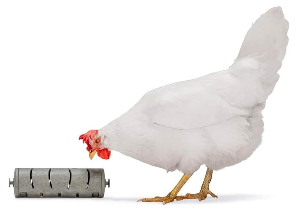 Snackroller für Hühner, Futterspender, grau, 22,5x6,5 cm