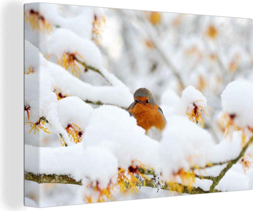OneMillionCanvasses - Leinwandbilder - 140x90 cm, Schnee - Rotkehlchen - Zweig, Wandbilder Kunstdruck Wanddekoration