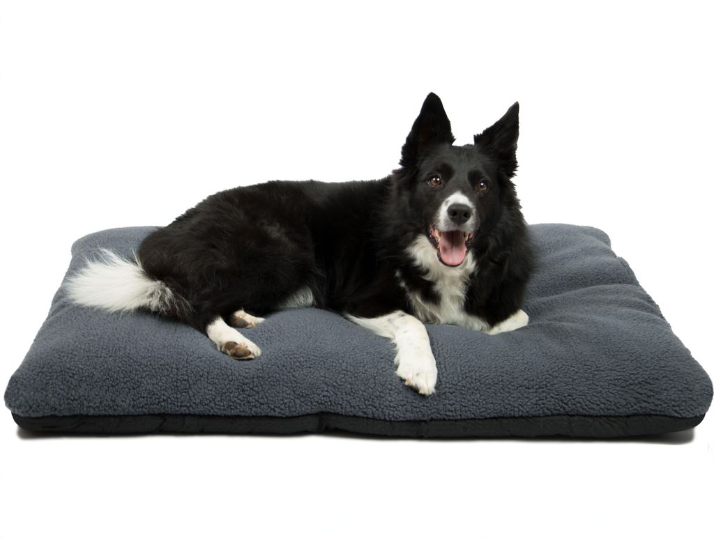 A black and white dog lying on a dark gray pet bed.